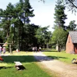 mehrere Familien spazieren durch das DEW-Feriendorf Schneverdingen im Sommer