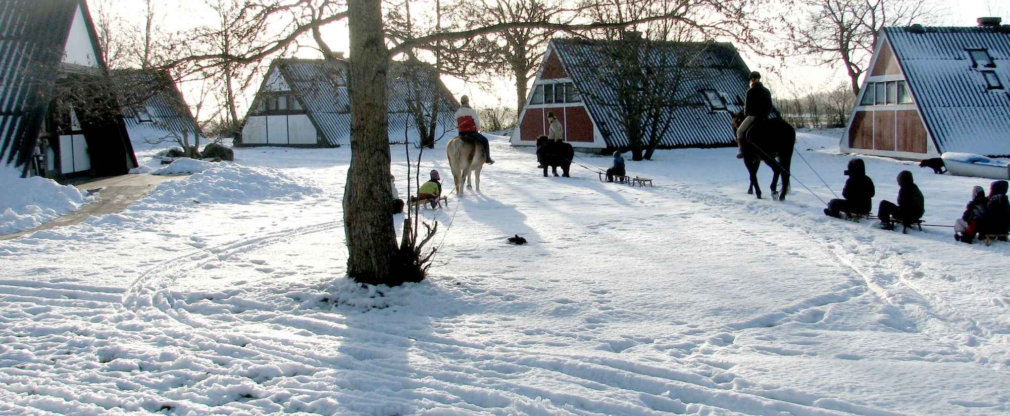 Nurdachhäuser im DEW-Feriendorf Golsmaas an der Ostsee im Schnee